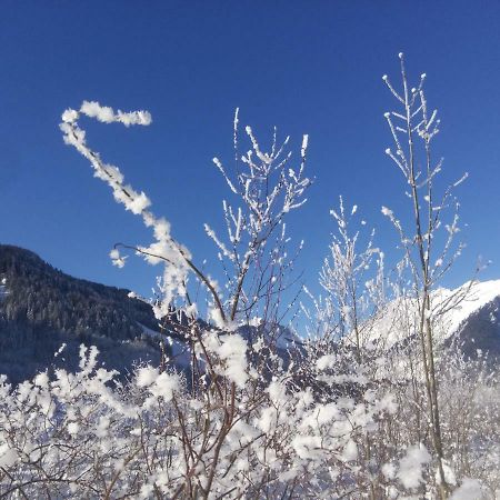Gaestehaus Pfandl Au (Vorarlberg) Bagian luar foto