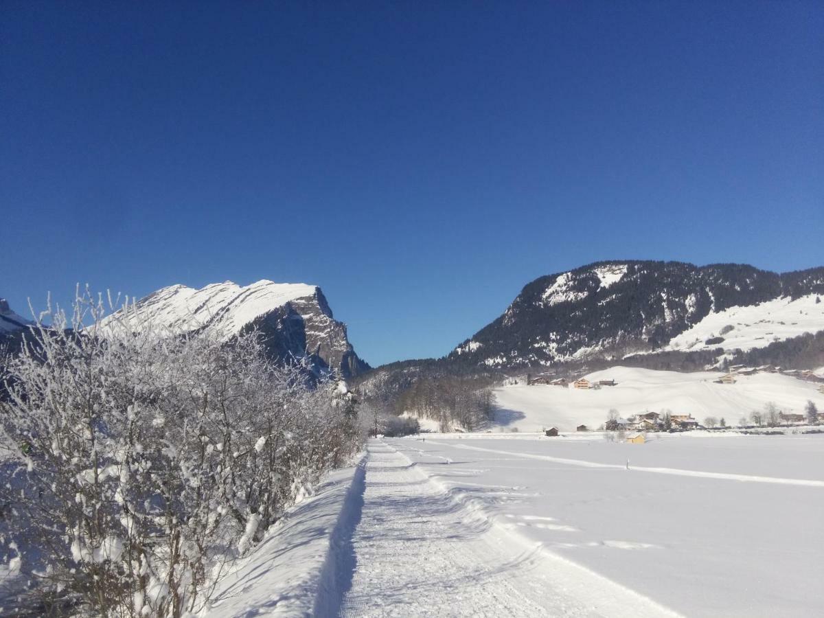 Gaestehaus Pfandl Au (Vorarlberg) Bagian luar foto