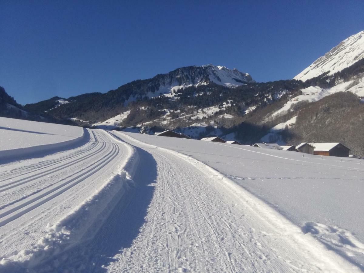 Gaestehaus Pfandl Au (Vorarlberg) Bagian luar foto